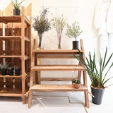 【限定商品】ラダーシェルフ