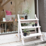 【限定商品】ラダーシェルフ